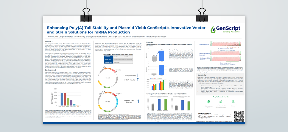 Enhancing Poly(A) Tail Stability and Plasmid Yield: GenScript's Innovative Vector and Strain Solutions for mRNA Production