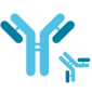 High-throughput screening to identify VHH clones