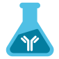 Purification of VHHs