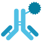•	Detection and Quantification of VHHs for WB, ELISA, IF, etc.