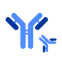Antibody Drug Discovery