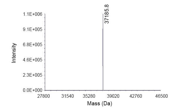 MS: molecular weight deviation ≤ 0.05%