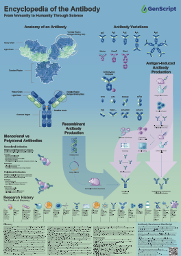 Poster – the Encyclopedia of the Antibody