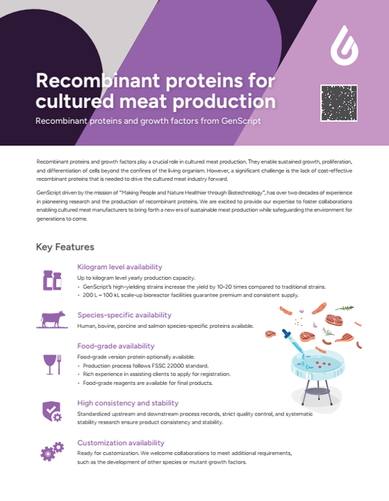 Growth Factors Flyer