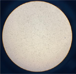  cell not clumped