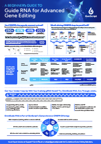 RNP user manual
