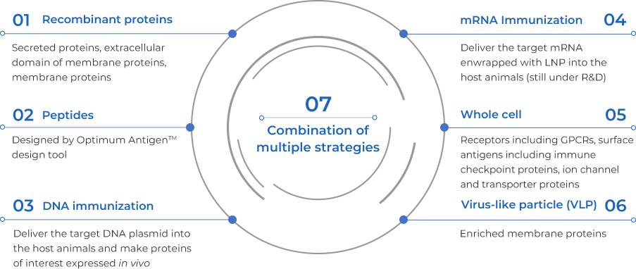 Combination of Multiple Strategies