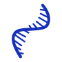 All 7 Subtypes including Polymorphic Variants
