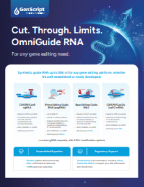 RNP user manual