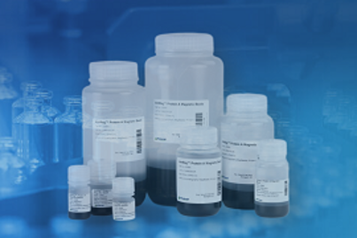 PCR Reagents