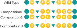 Combinatorial Mutant Library