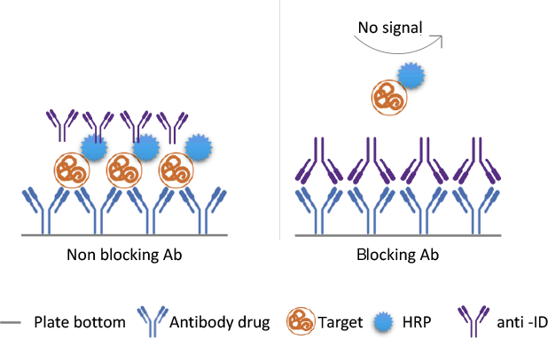 None Blocking& Blocking Ab