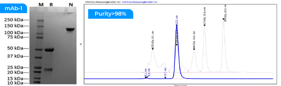 Rabbit mAb production tested in the TruboCHO™ HP platform
