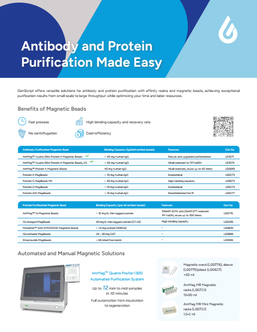Purification products flyer