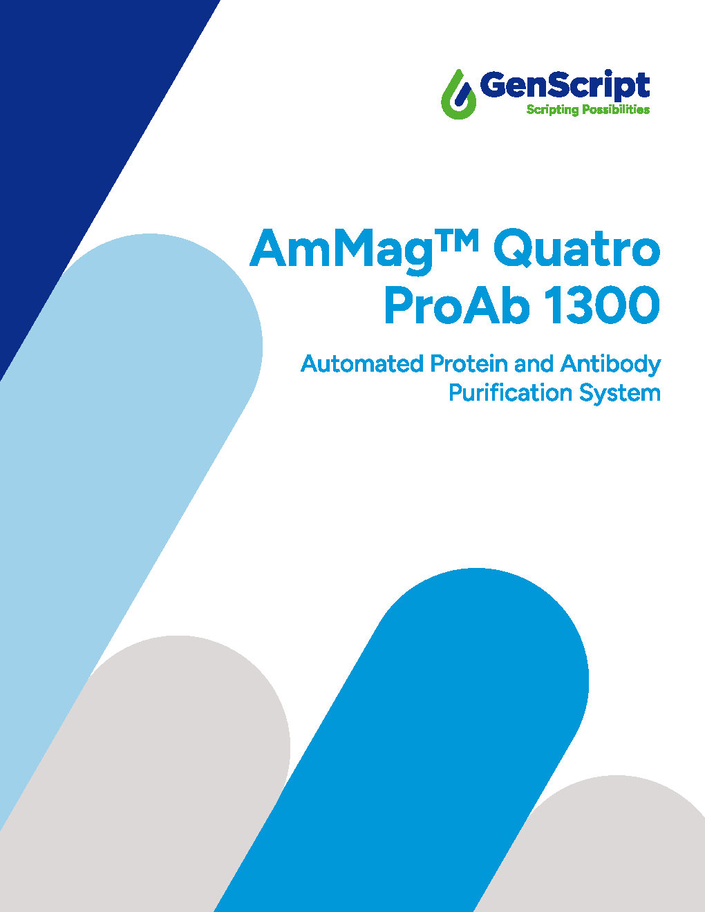 AmMag™ Quatro ProAb Flyer
