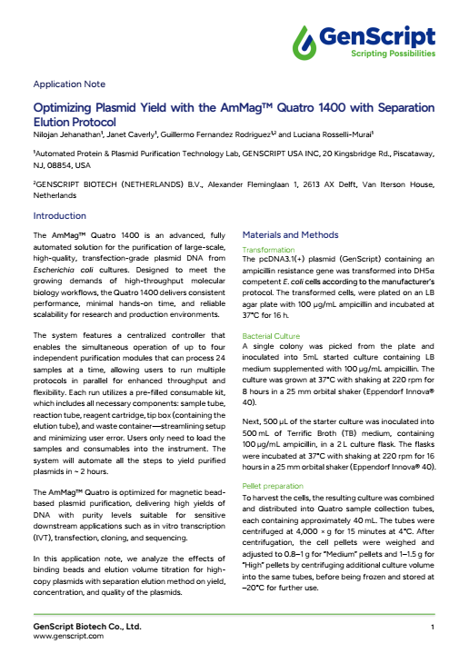 GenScript’s AmMag™ Application Note