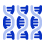 Sequence input Sequence input