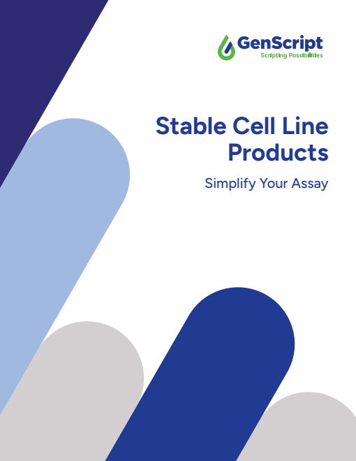 Stable Cell Lines Products