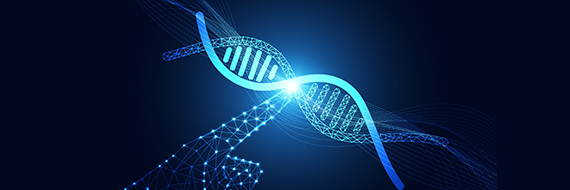 The Power of Genetically Engineered Strains in Molecular Research